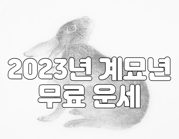 2023년 계묘년 무료 운세