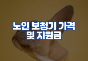 노인 보청기 가격 및 지원금