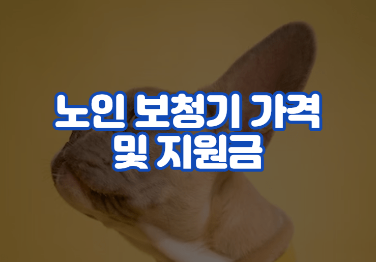 노인 보청기 가격 및 지원금