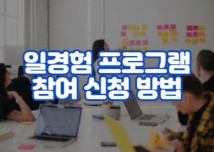 일경험 프로그램 참여 신청 방법