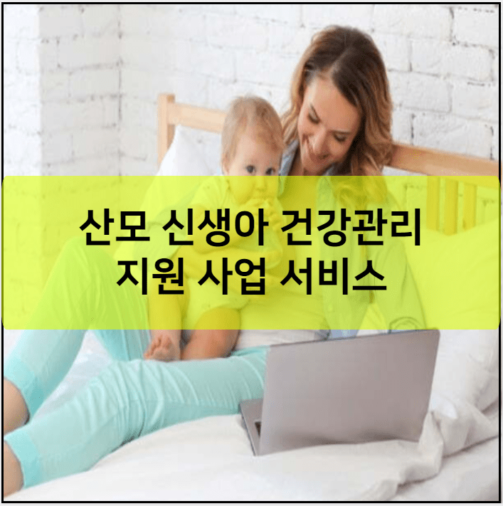 산모 신생아 건강관리 지원 사업 서비스