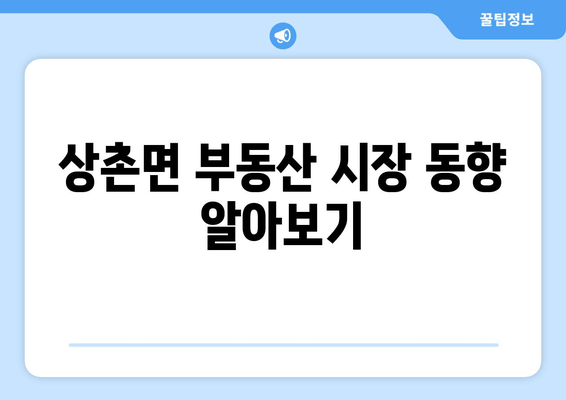 상촌면 부동산 시장 동향 알아보기