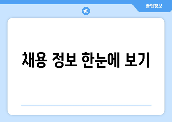 채용 정보 한눈에 보기