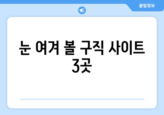 눈 여겨 볼 구직 사이트 3곳