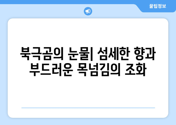 사케 오니고로시와 북극곰의 눈물| 일본 술의 매력에 빠지다 | 사케, 일본 주류, 술 추천