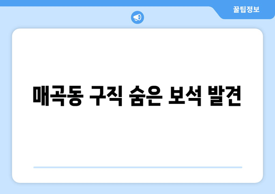 매곡동 구직 숨은 보석 발견