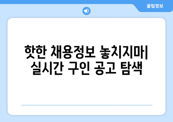 핫한 채용정보 놓치지마| 실시간 구인 공고 탐색