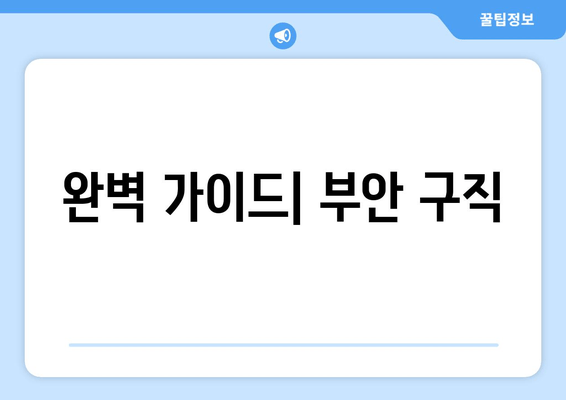 완벽 가이드| 부안 구직