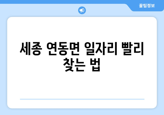 세종 연동면 일자리 빨리 찾는 법