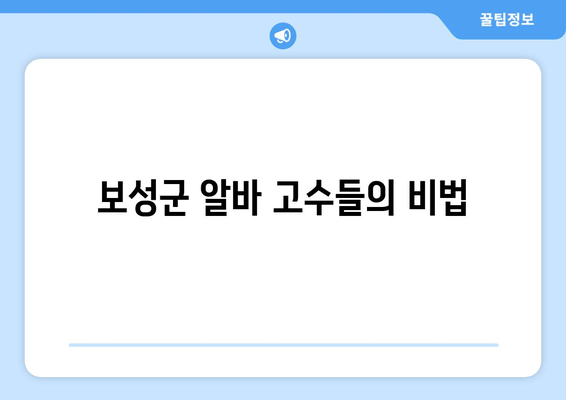 보성군 알바 고수들의 비법