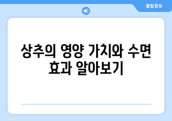 상추, 숙면을 부르는 채소? | 상추 효능, 수면 개선 효과, 영양 정보