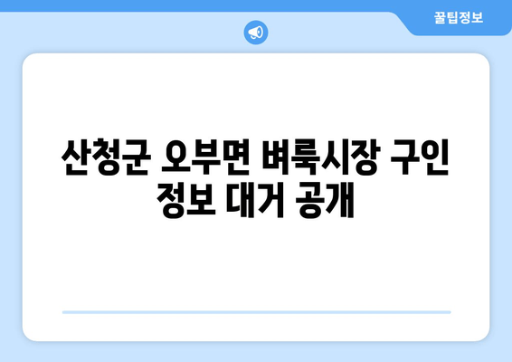 산청군 오부면 벼룩시장 구인 정보 대거 공개