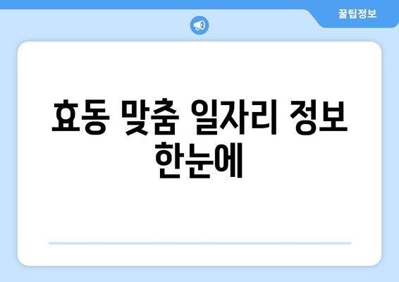 효동 맞춤 일자리 정보 한눈에