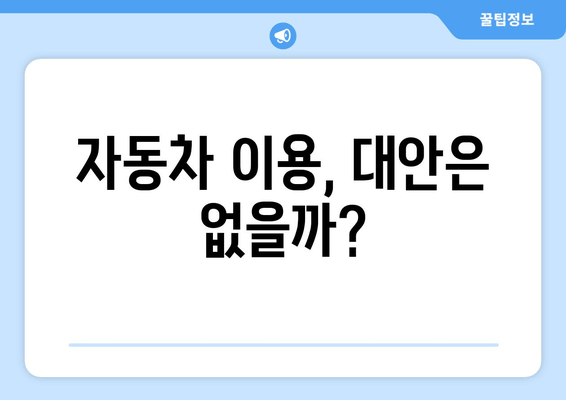 자동차 이용, 대안은 없을까?