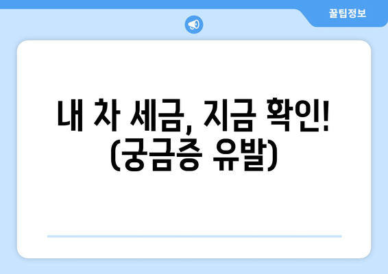 내 차 세금, 지금 확인! (궁금증 유발)