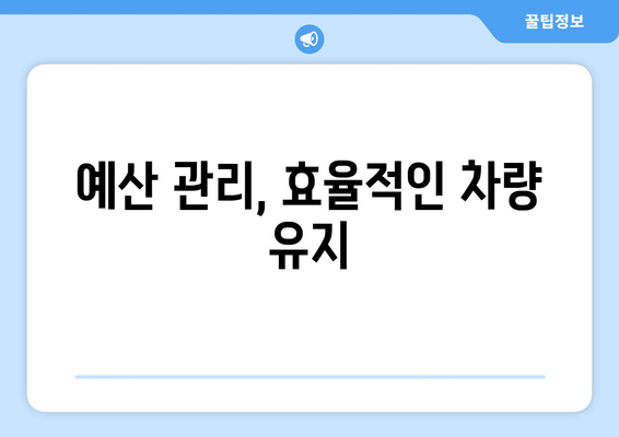 예산 관리, 효율적인 차량 유지