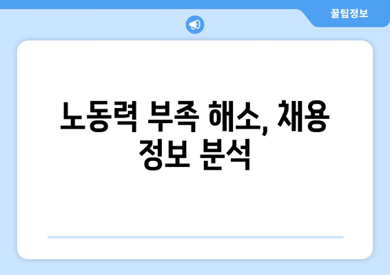 노동력 부족 해소, 채용 정보 분석