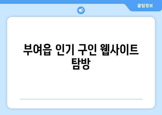 부여읍 인기 구인 웹사이트 탐방