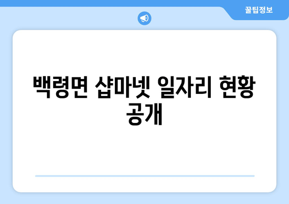 백령면 샵마넷 일자리 현황 공개