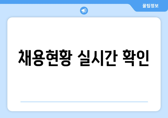 채용현황 실시간 확인