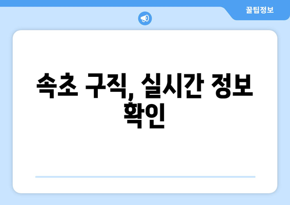 속초 구직, 실시간 정보 확인