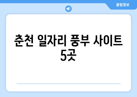 춘천 일자리 풍부 사이트 5곳