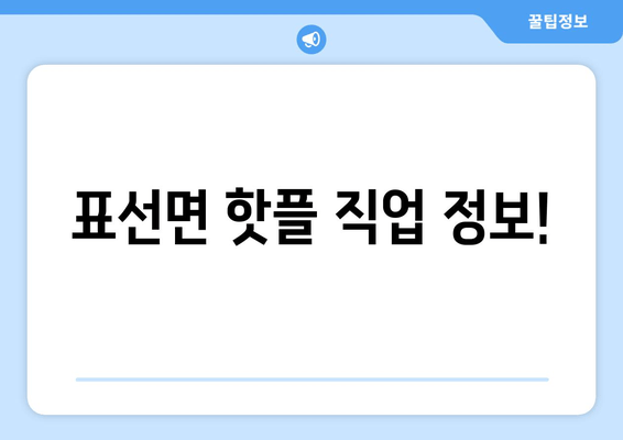 표선면 핫플 직업 정보!