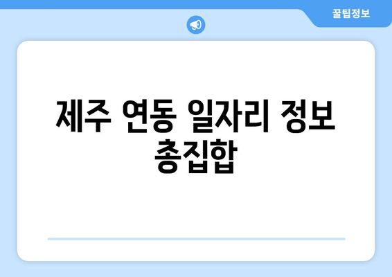 제주 연동 일자리 정보 총집합