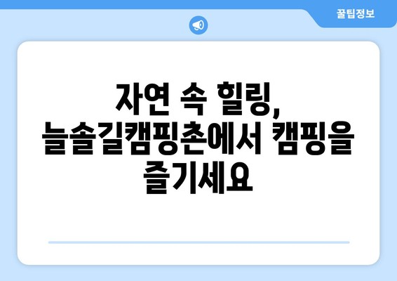 늘솔길캠핑촌| 경북 포항 근교 캠핑장 완벽 가이드 | 예약, 추천, 시설 정보, 전기, 연락처