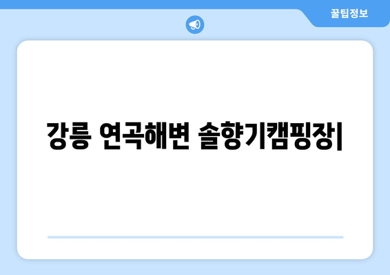 강릉 연곡해변 솔향기캠핑장| 동해안 솔숲과 백사장을 만끽하는 무장애 캠핑 | 강원도 근교 캠핑, 예약, 시설 정보, 추천