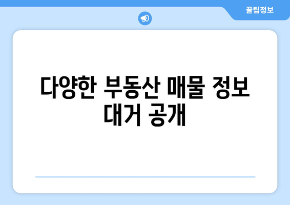 다양한 부동산 매물 정보 대거 공개