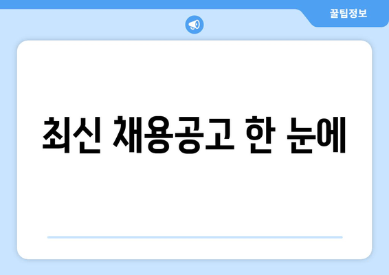 최신 채용공고 한 눈에