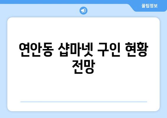 연안동 샵마넷 구인 현황 전망