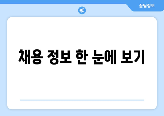 채용 정보 한 눈에 보기