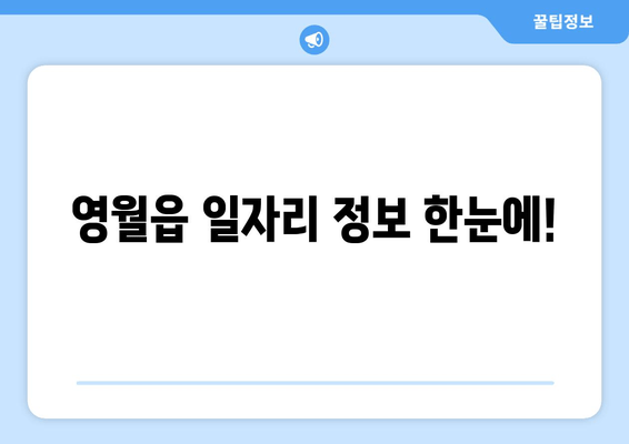 영월읍 일자리 정보 한눈에!