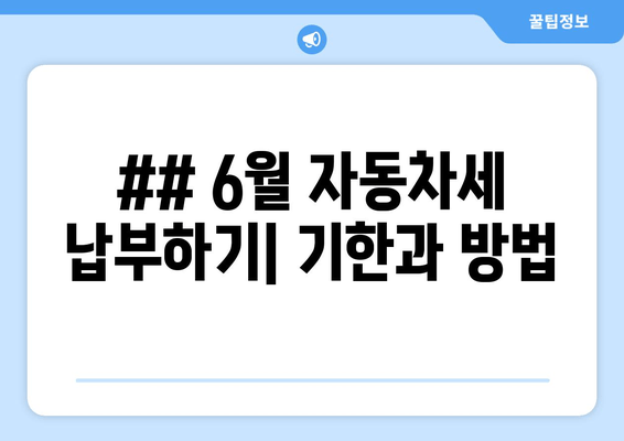 ## 6월 자동차세 납부하기| 기한과 방법