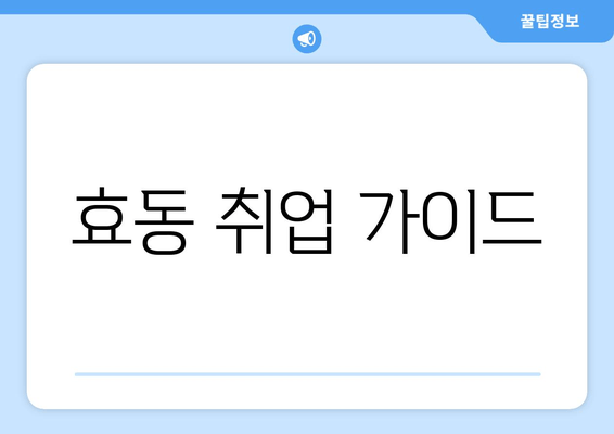 효동 취업 가이드