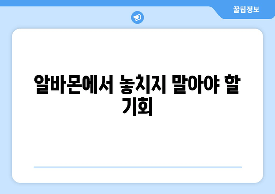 알바몬에서 놓치지 말아야 할 기회