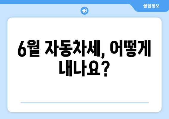 6월 자동차세, 어떻게 내나요?