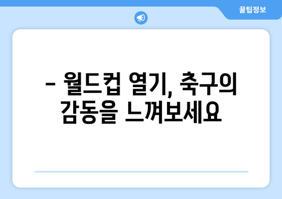 월드컵 열기, 지구촌을 하나로! | 2023년 월드컵 축제의 모든 것
