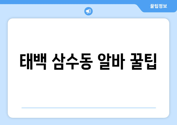 태백 삼수동 알바 꿀팁