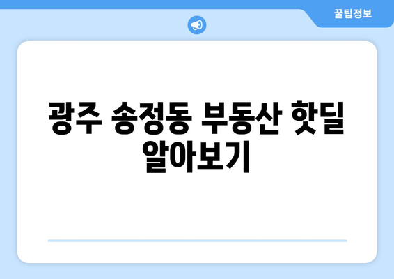 광주 송정동 부동산 핫딜 알아보기