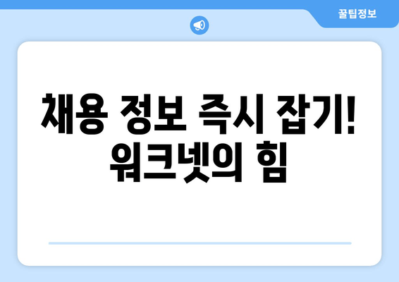 채용 정보 즉시 잡기! 워크넷의 힘