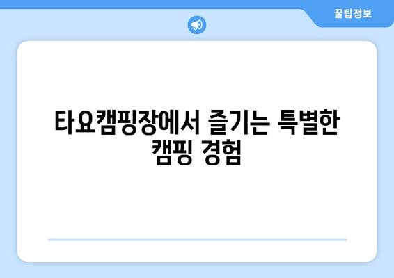 강원도 삼척 근교 캠핑의 끝판왕! 타요캠핑장| 바다 전망 & 고급 카라반 | 삼척 캠핑장 추천, 예약, 시설 정보, 전기, 연락처