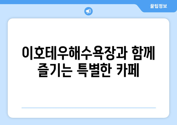 이호테우해수욕장 옆, 편안한 휴식을 위한 카페 추천 | 제주도 여행, 해변 카페, 커피 맛집