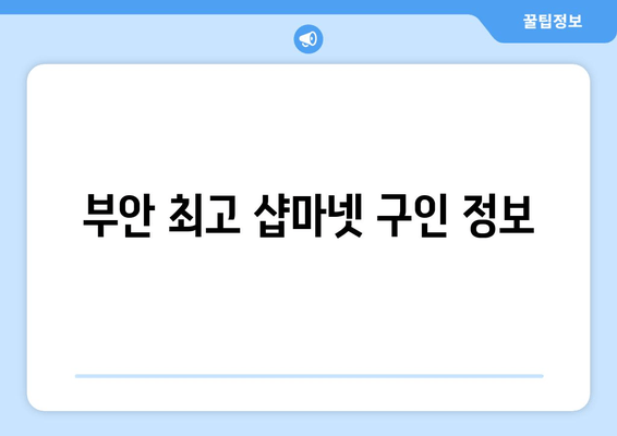 부안 최고 샵마넷 구인 정보