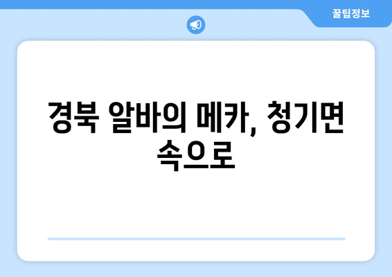 경북 알바의 메카, 청기면 속으로