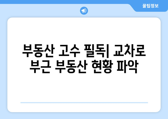 부동산 고수 필독| 교차로 부근 부동산 현황 파악