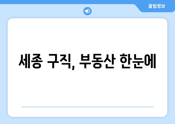 세종 구직, 부동산 한눈에