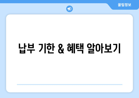 납부 기한 & 혜택 알아보기